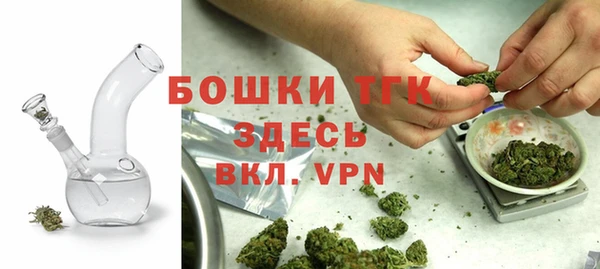 молекула духа Саяногорск