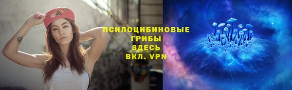 экстази Бородино