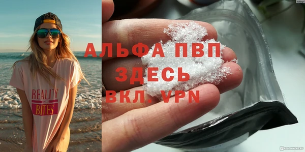 экстази Бородино