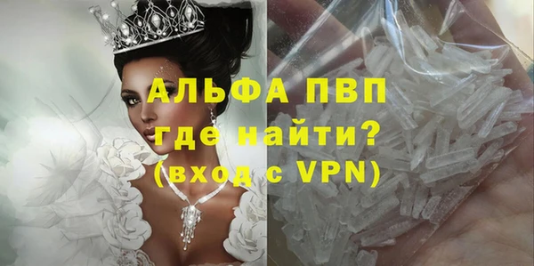 экстази Бородино