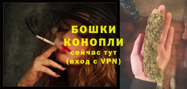 экстази Бородино