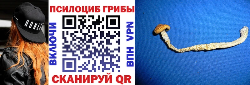 Галлюциногенные грибы Psilocybine cubensis  блэк спрут   Острогожск  хочу наркоту 